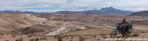 Las Vicuñas National Reserve - Chile