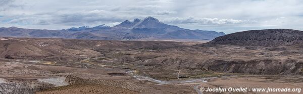 Las Vicuñas National Reserve - Chile