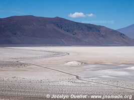 Salar de Carcote - Chile