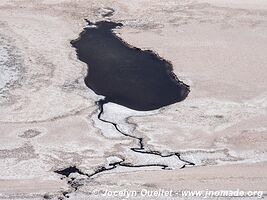 Salar de Carcote - Chile