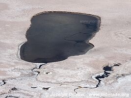 Salar de Carcote - Chile