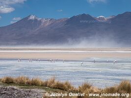 Salar de Ascotán - Chili