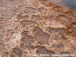 El Tatio Geysers - Chile