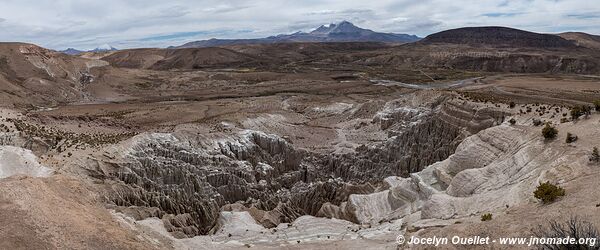 Las Vicuñas National Reserve - Chile