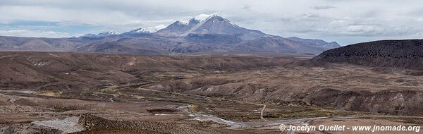 Las Vicuñas National Reserve - Chile