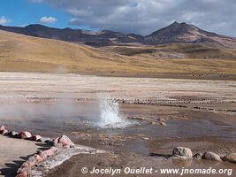 Geysers El Tatio - Chili