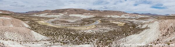 Las Vicuñas National Reserve - Chile