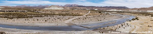 Réserve nationale Las Vicuñas - Chili