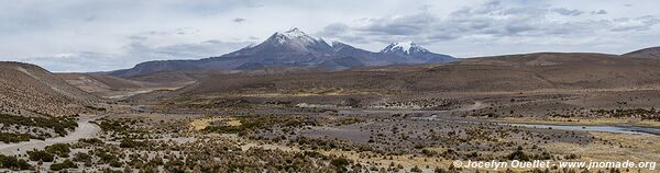 Réserve nationale Las Vicuñas - Chili