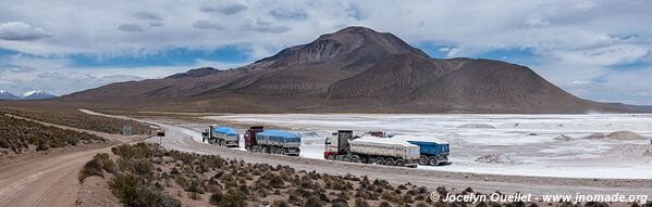 Salar de Surire - Chili