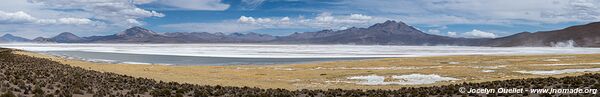 Salar de Surire - Chile