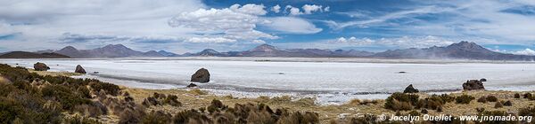 Salar de Surire - Chile