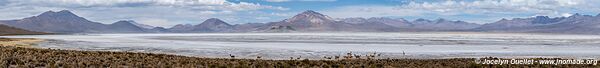 Salar de Surire - Chile