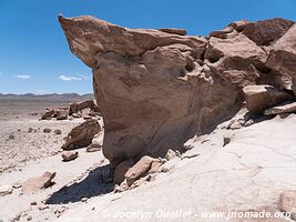 Yerba Buena Petroglyphs - Chile