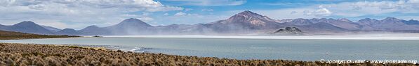 Salar de Surire - Chile