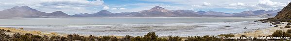 Salar de Surire - Chile