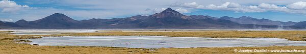 Salar de Surire - Chili