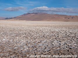 Laguna Quisquiro - Route de San Pedro de Atacama à Paso de Jama - Chili