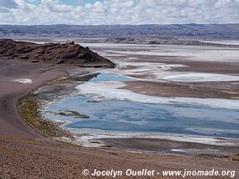 Laguna Quisquiro - Route de San Pedro de Atacama à Paso de Jama - Chili