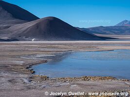 Salar de Talar - Boucle Toconao-Laguna Lejia-Paso Sico-Santa Rosa - Chili