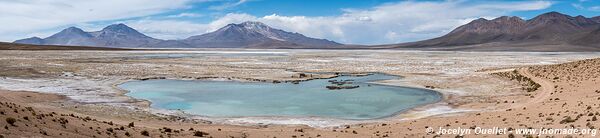 Salar de Surire - Chili