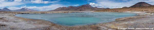 Salar de Surire - Chili