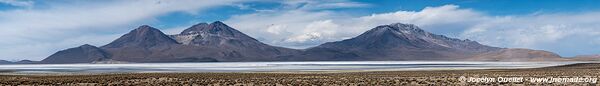 Salar de Surire - Chile