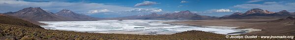 Salar de Surire - Chile