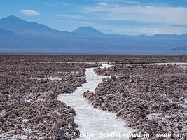 Laguna Chaxa - Chile