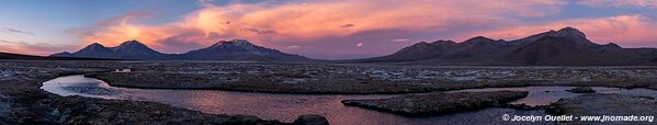 Salar de Surire - Chile