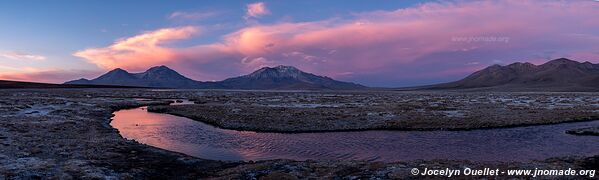 Salar de Surire - Chili