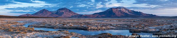 Salar de Surire - Chili