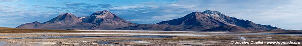 Salar de Surire - Chile