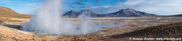 Salar de Surire - Chili