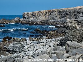 Playa Chorillos - Road from Caldera to Huasco - Chile