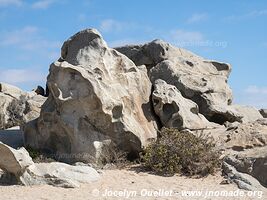 Llanos de Challe National Park - Chile