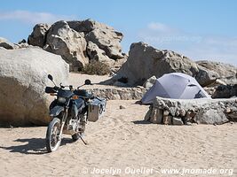 Llanos de Challe National Park - Chile