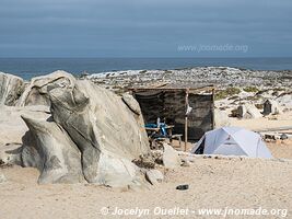 Llanos de Challe National Park - Chile