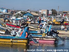 Caleta Chañaral - Chile