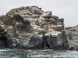 Pingüino de Humboldt National Reserve - Chile