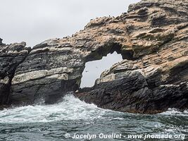 Pingüino de Humboldt National Reserve - Chile