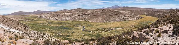 Isluga Volcano National Park - Chile