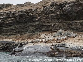 Pingüino de Humboldt National Reserve - Chile