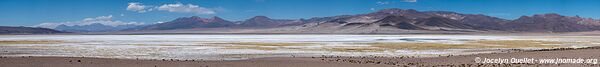 Salar de Huasco - Chile