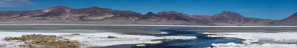 Salar de Huasco - Chile