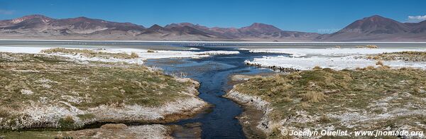 Salar de Huasco - Chile