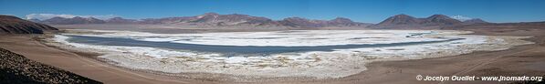 Salar de Huasco - Chile