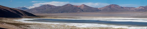 Salar de Huasco - Chile