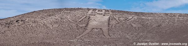 El Gigante de Tarapacá - Chile