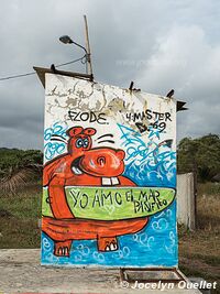 Canoa - Ecuador